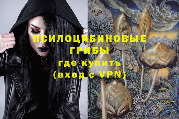 амф Алзамай