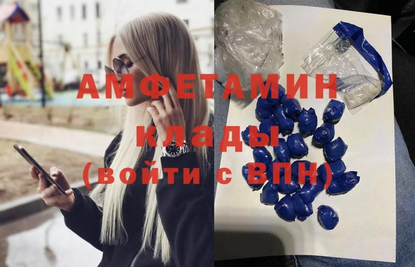 амф Алзамай