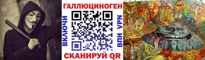 Галлюциногенные грибы Psilocybe  дарнет шоп  Кинель 
